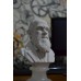 Escultura Busto Sir Charles Darwin Marmore 15cm Made Italy