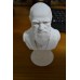 Escultura Busto Sir Charles Darwin Marmore 15cm Made Italy